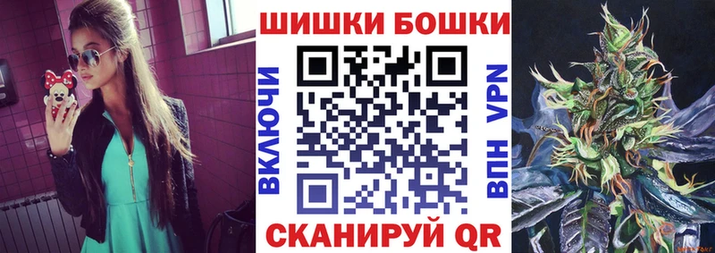 закладки  Чехов  Конопля план 
